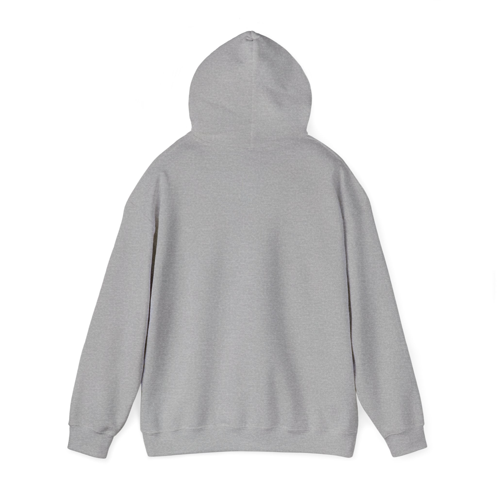Rainbow Pastel Skydiving Furry | Hooded Sweatshirt