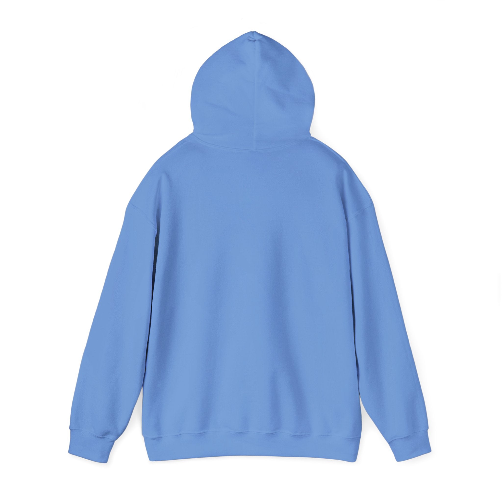 Rainbow Pastel Skydiving Furry | Hooded Sweatshirt