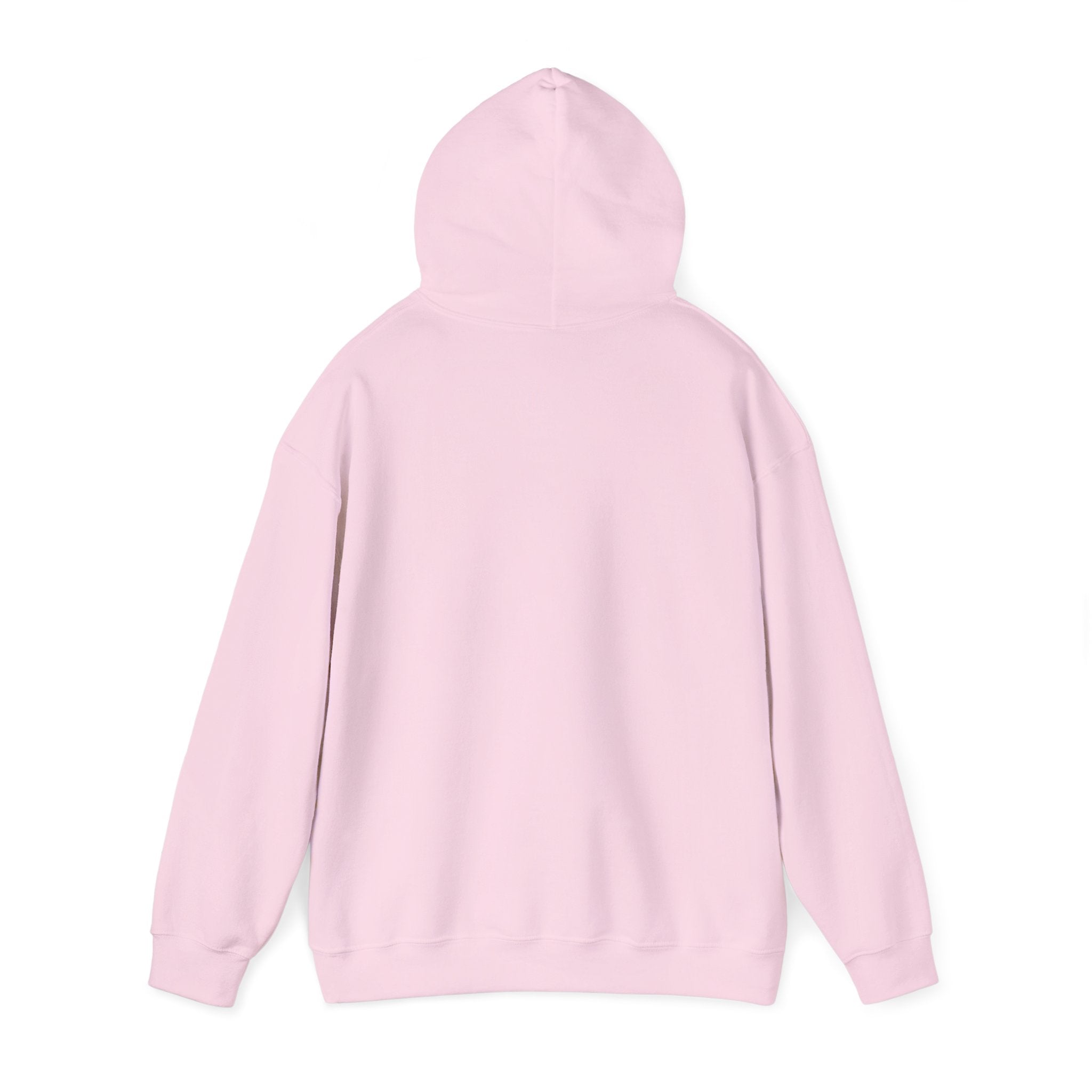 Rainbow Pastel Skydiving Furry | Hooded Sweatshirt