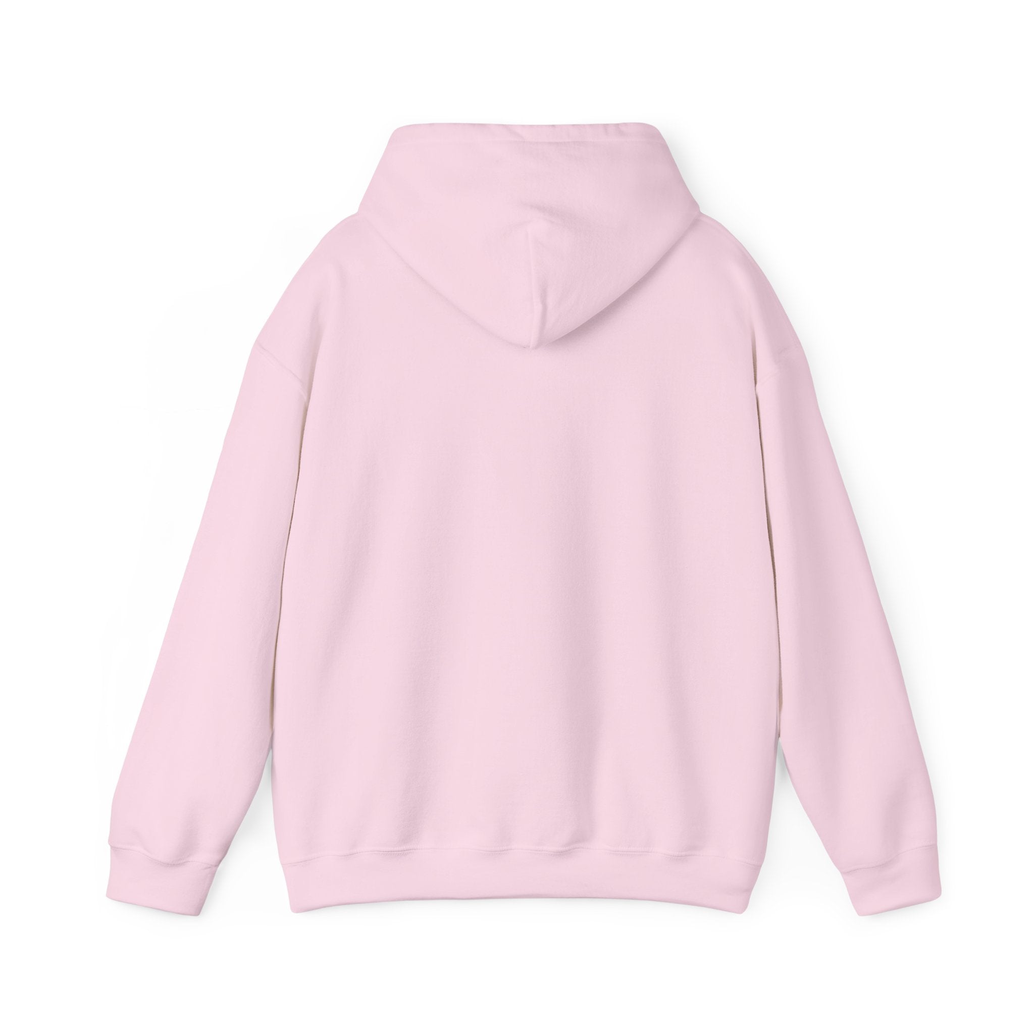 Rainbow Pastel Skydiving Furry | Hooded Sweatshirt