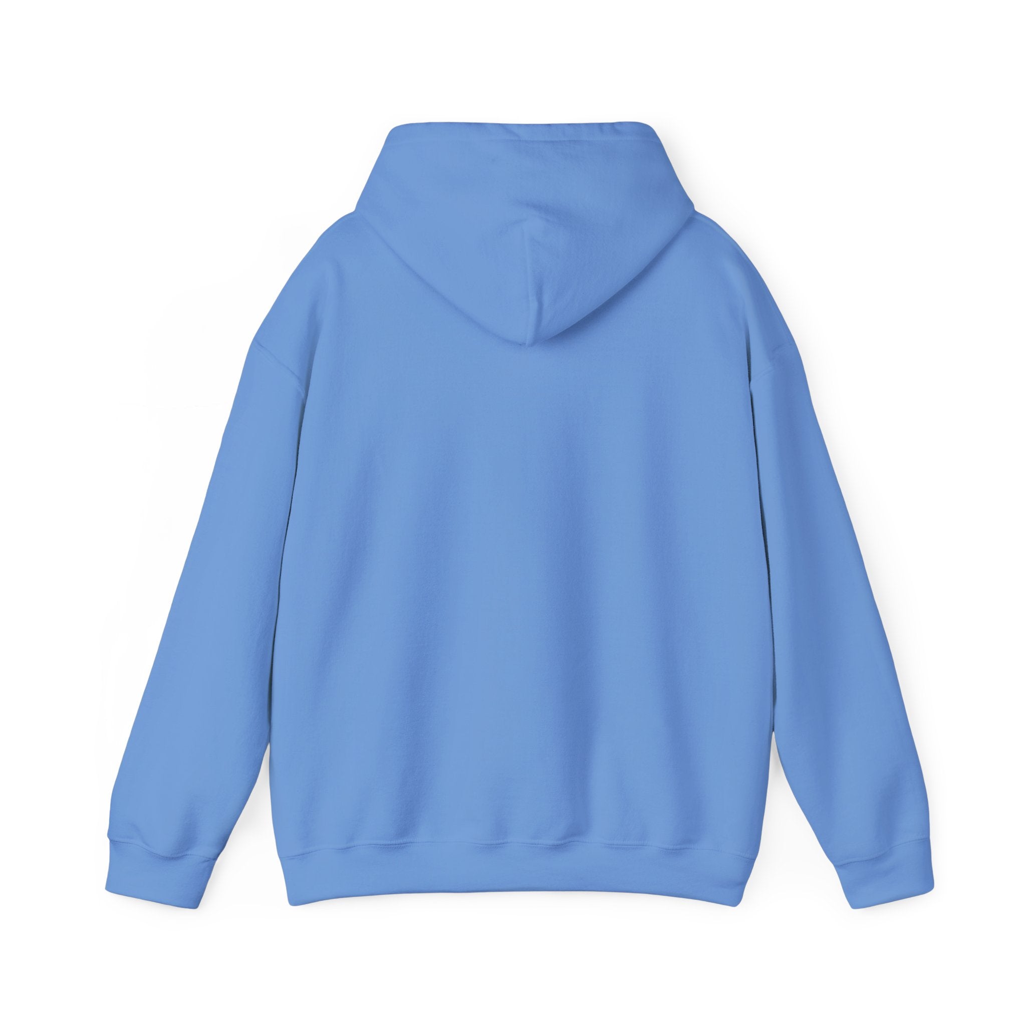 Rainbow Pastel Skydiving Furry | Hooded Sweatshirt