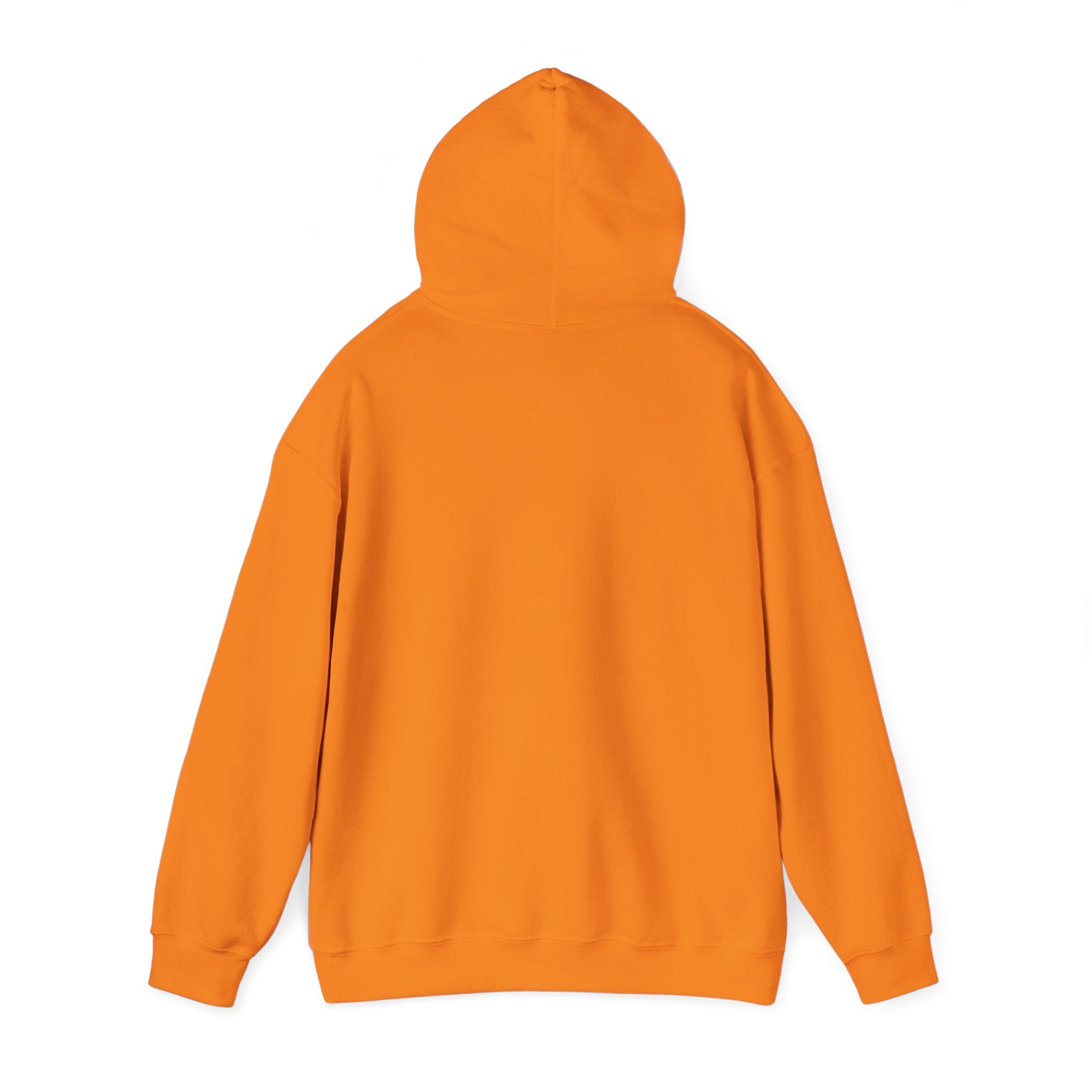 Rainbow Pastel Skydiving Furry | Hooded Sweatshirt