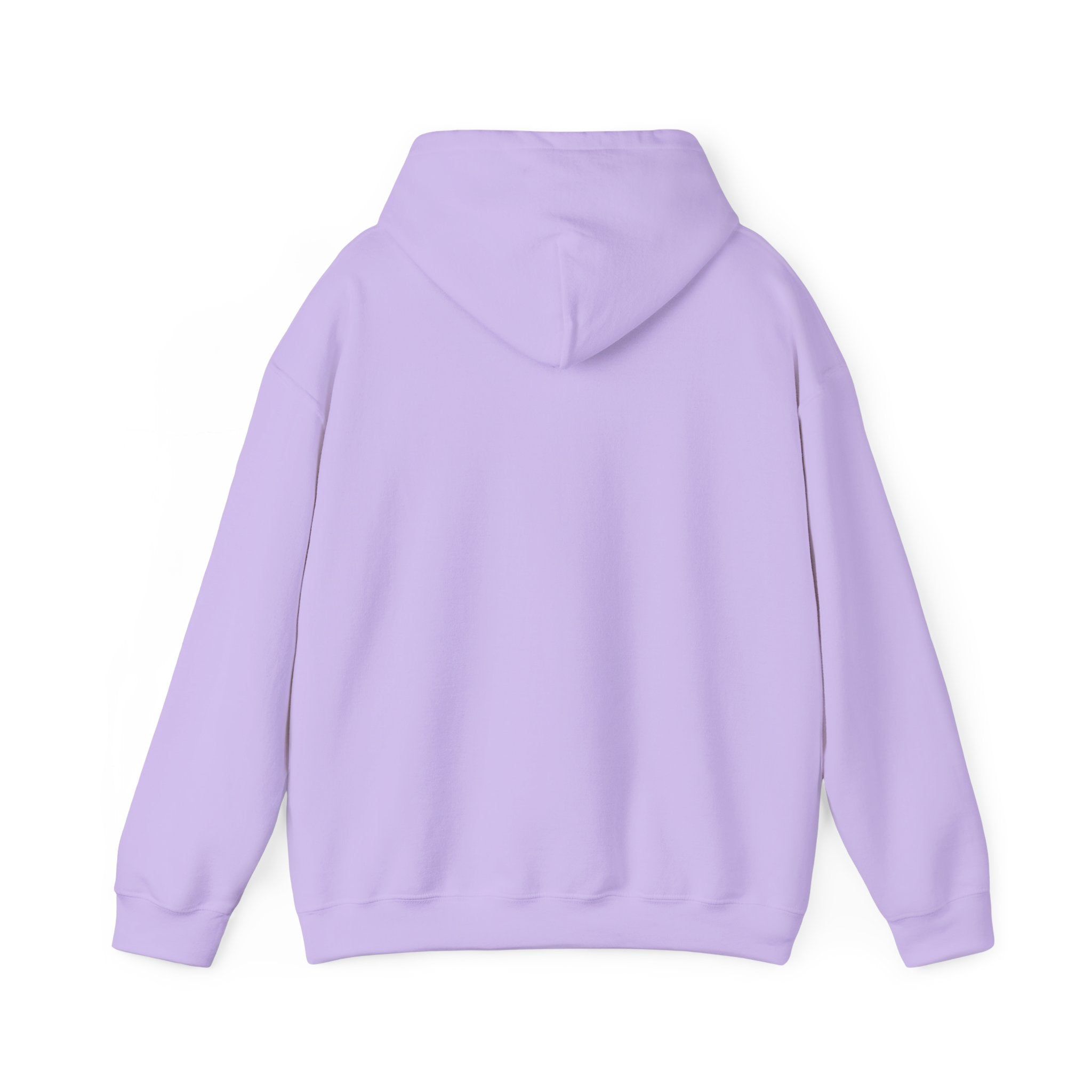 Rainbow Pastel Skydiving Furry | Hooded Sweatshirt