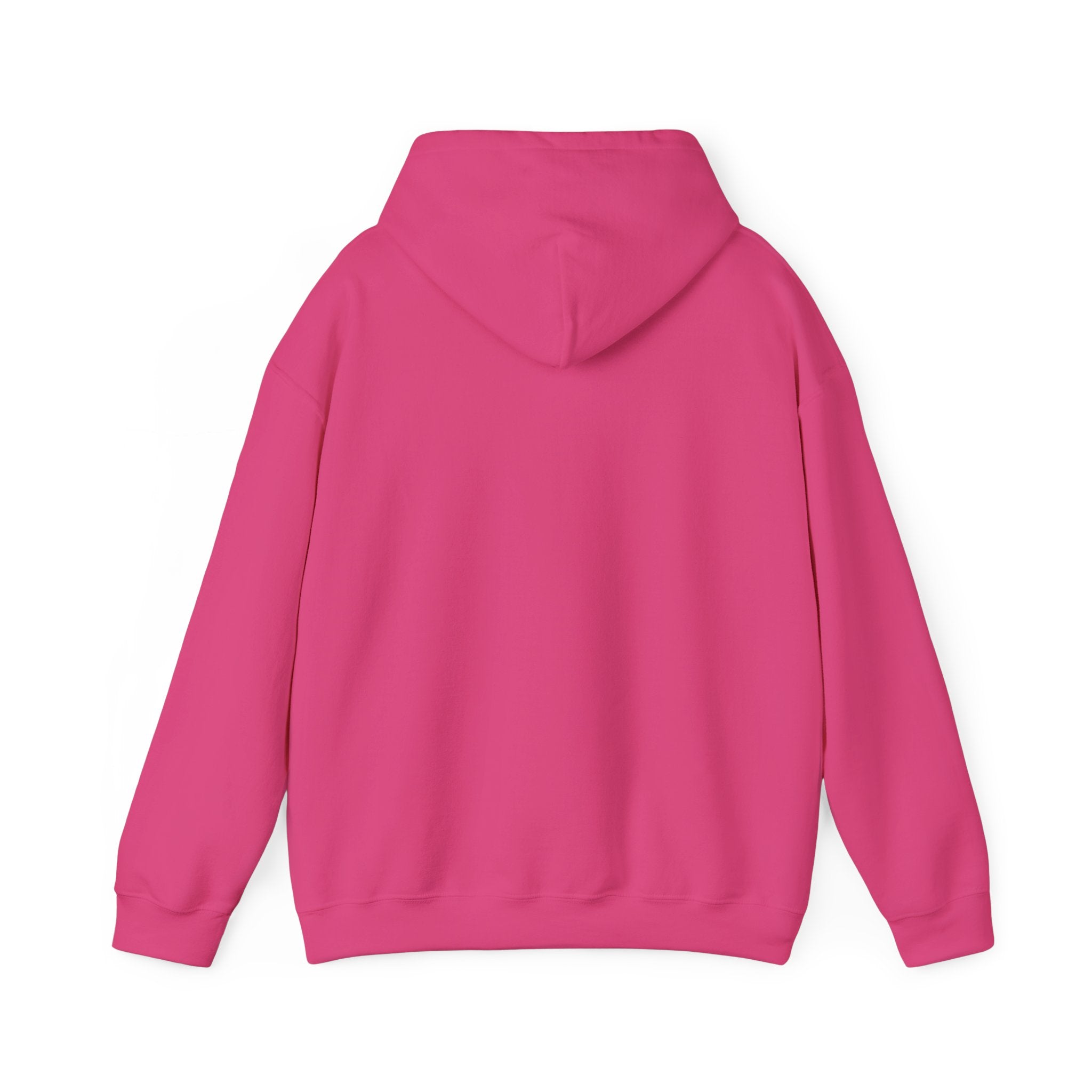 Rainbow Pastel Skydiving Furry | Hooded Sweatshirt