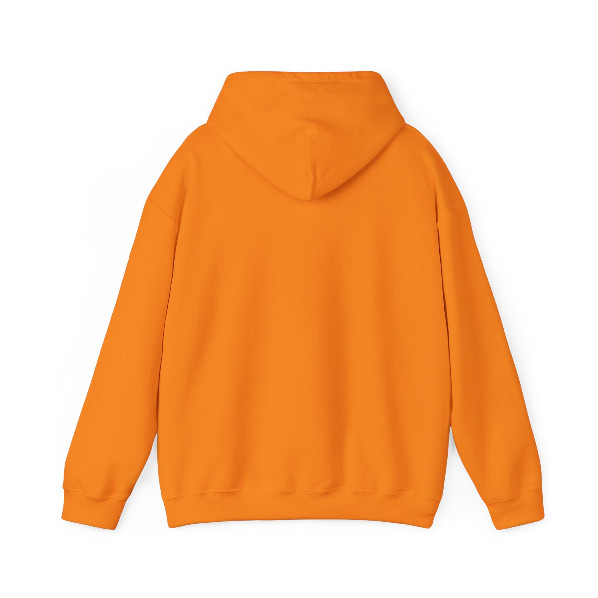 Rainbow Pastel Skydiving Furry | Hooded Sweatshirt