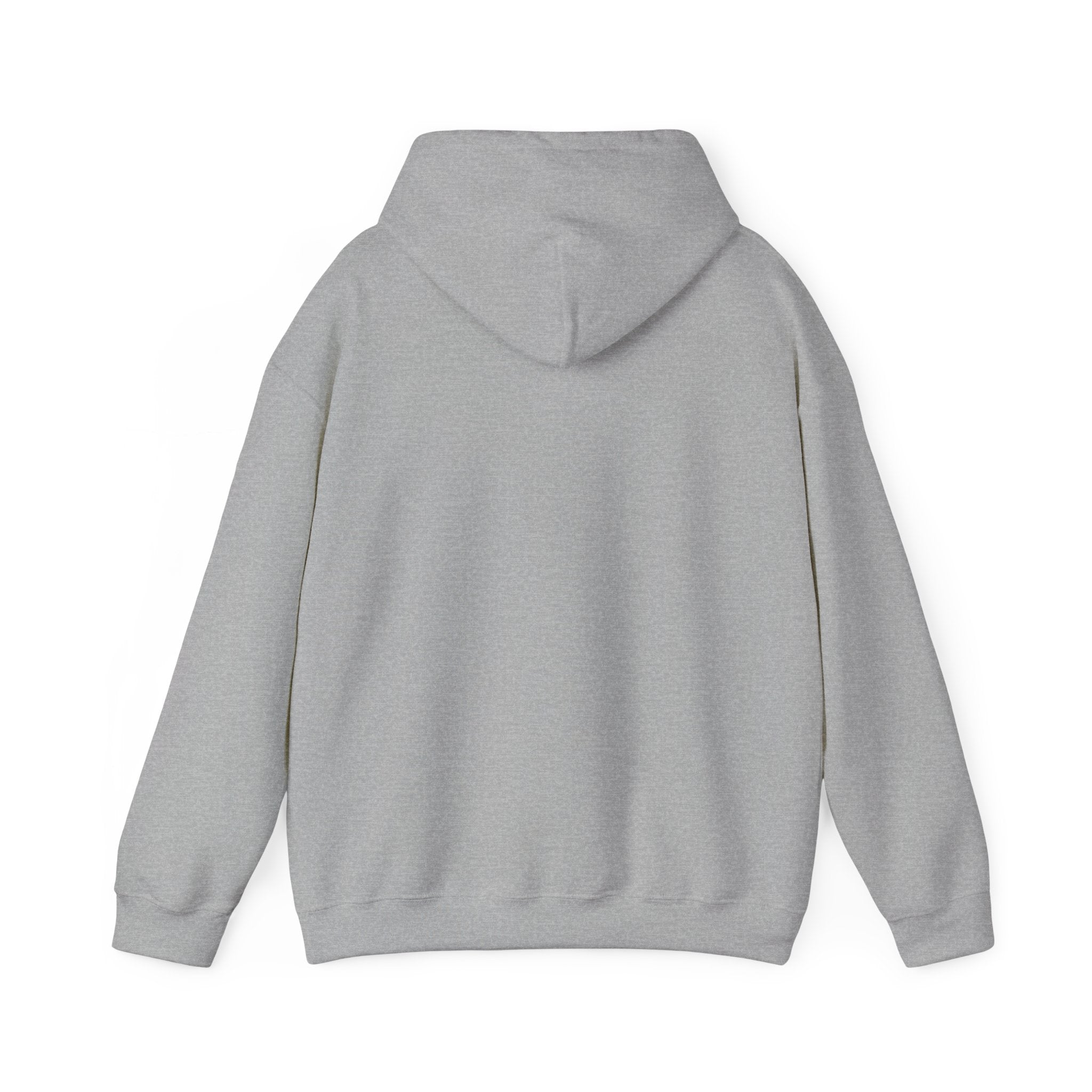 Rainbow Pastel Skydiving Furry | Hooded Sweatshirt