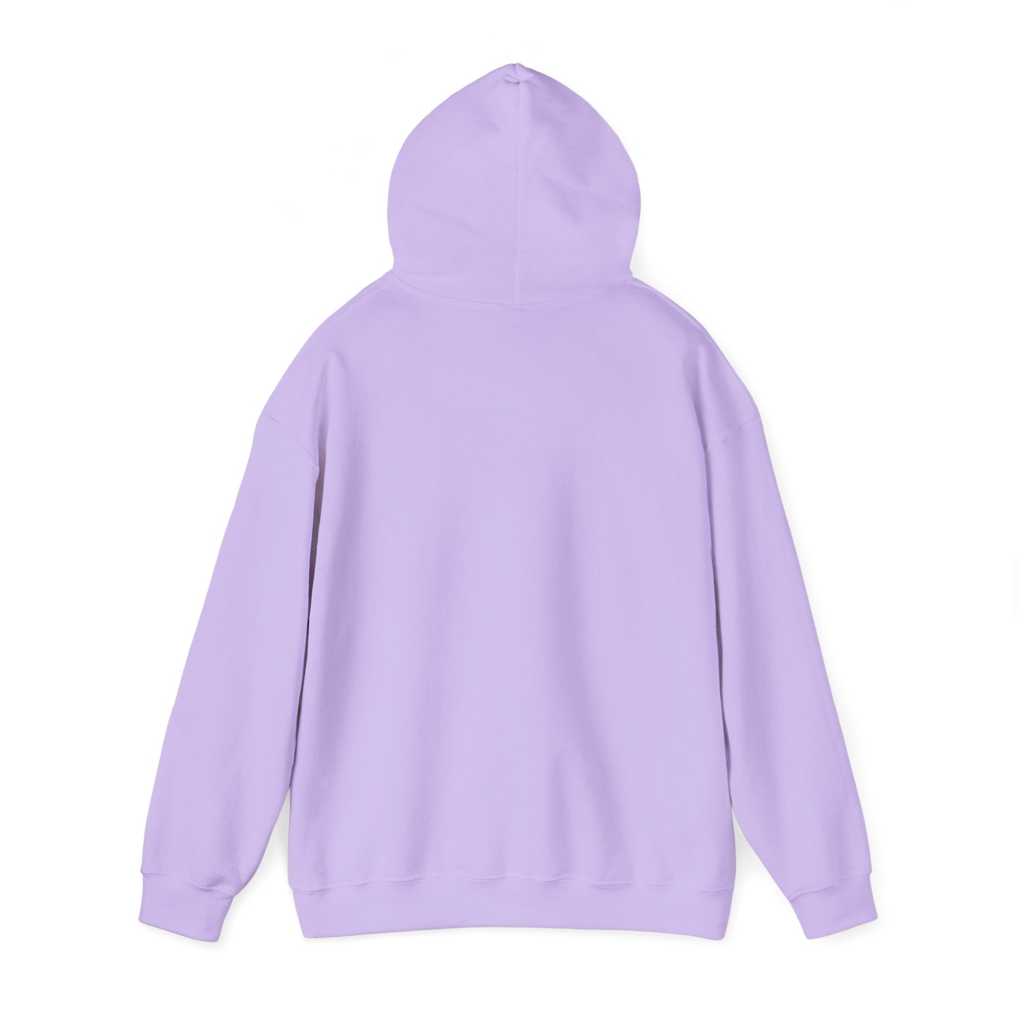 Rainbow Pastel Skydiving Furry | Hooded Sweatshirt