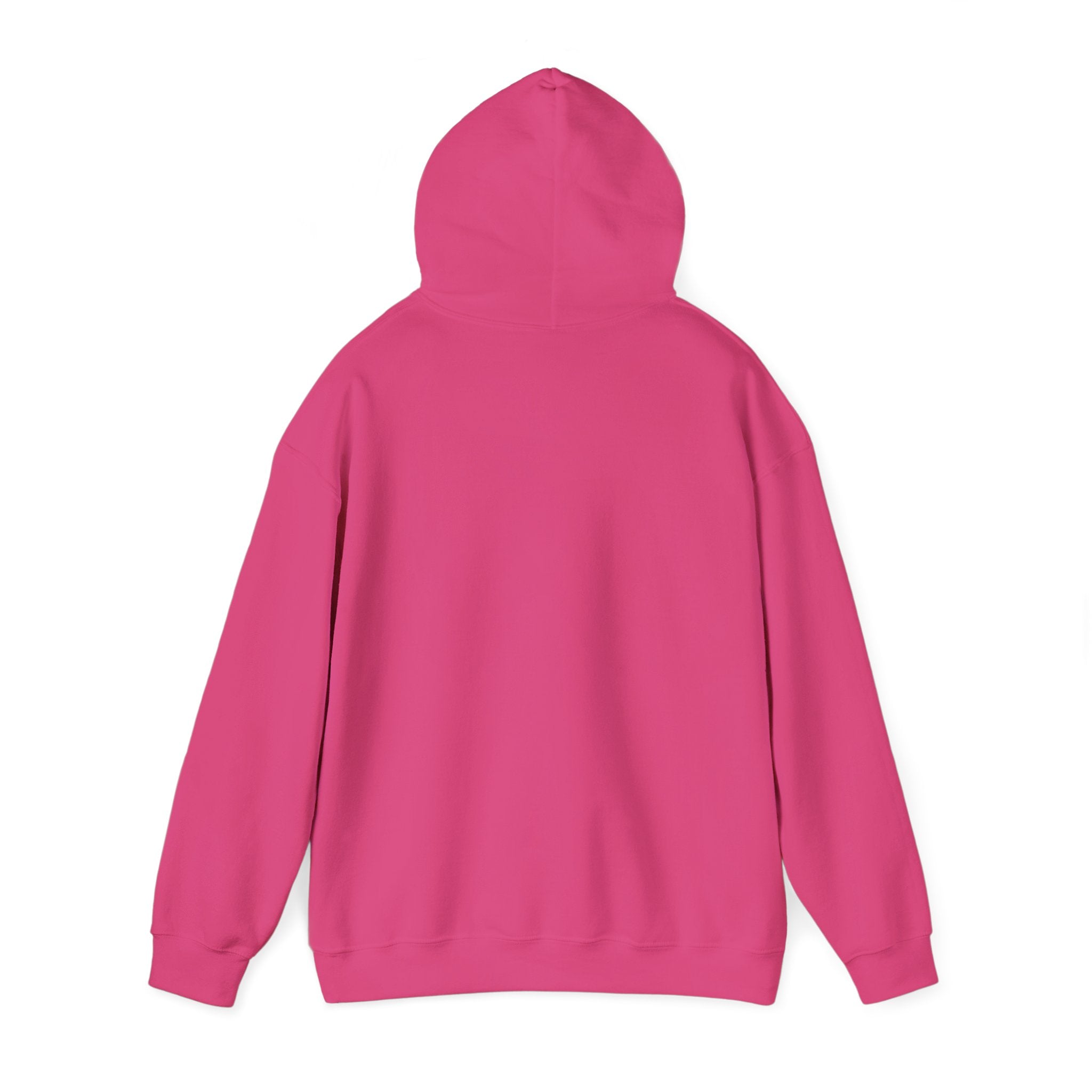 Rainbow Pastel Skydiving Furry | Hooded Sweatshirt