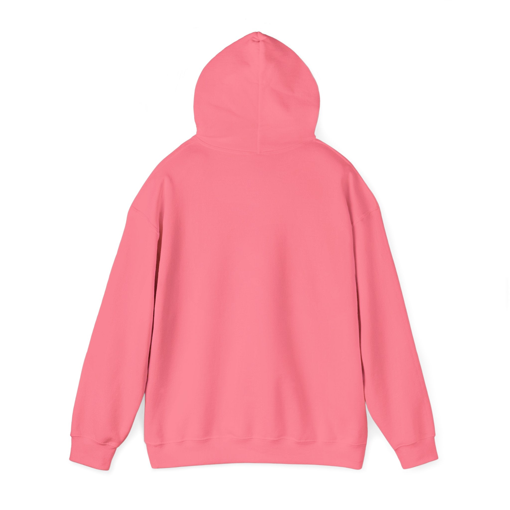 Rainbow Pastel Skydiving Furry | Hooded Sweatshirt
