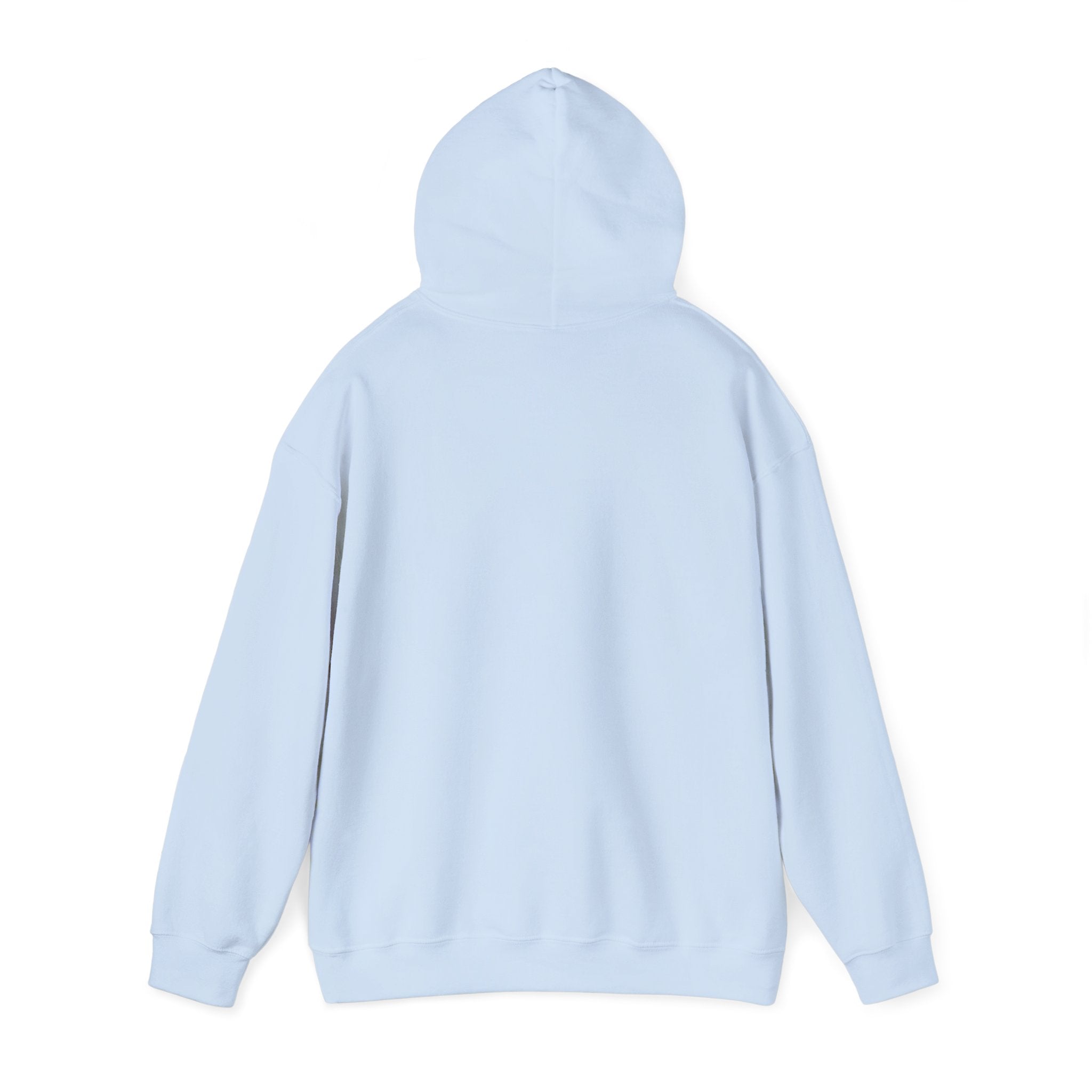 Rainbow Pastel Skydiving Furry | Hooded Sweatshirt