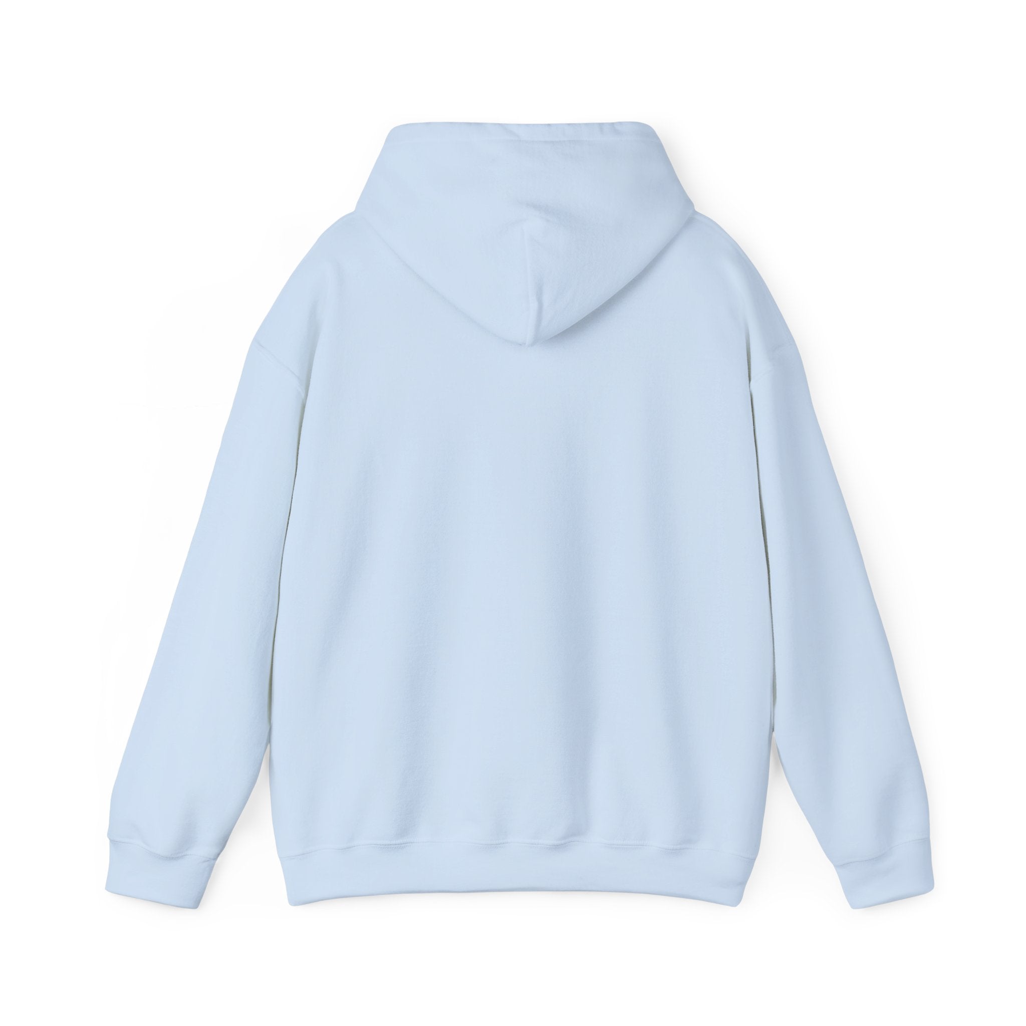 Rainbow Pastel Skydiving Furry | Hooded Sweatshirt