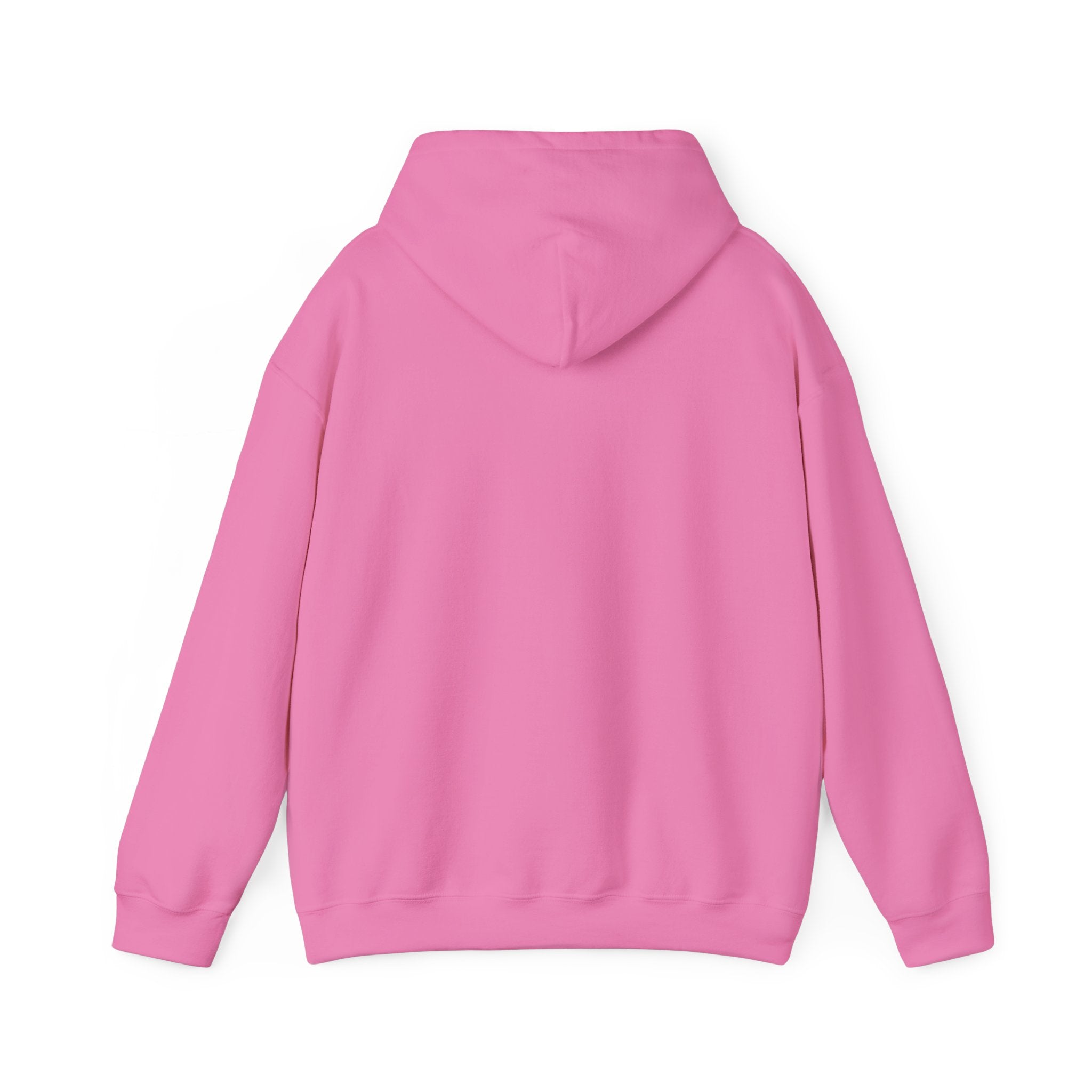Rainbow Pastel Skydiving Furry | Hooded Sweatshirt
