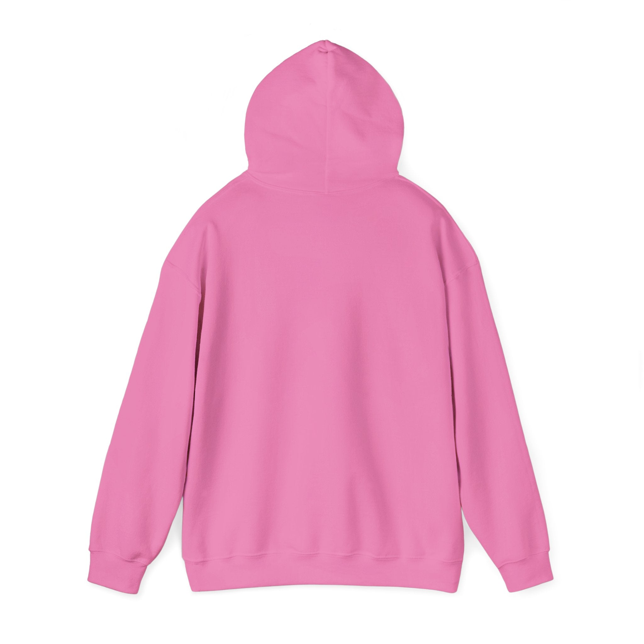 Rainbow Pastel Skydiving Furry | Hooded Sweatshirt