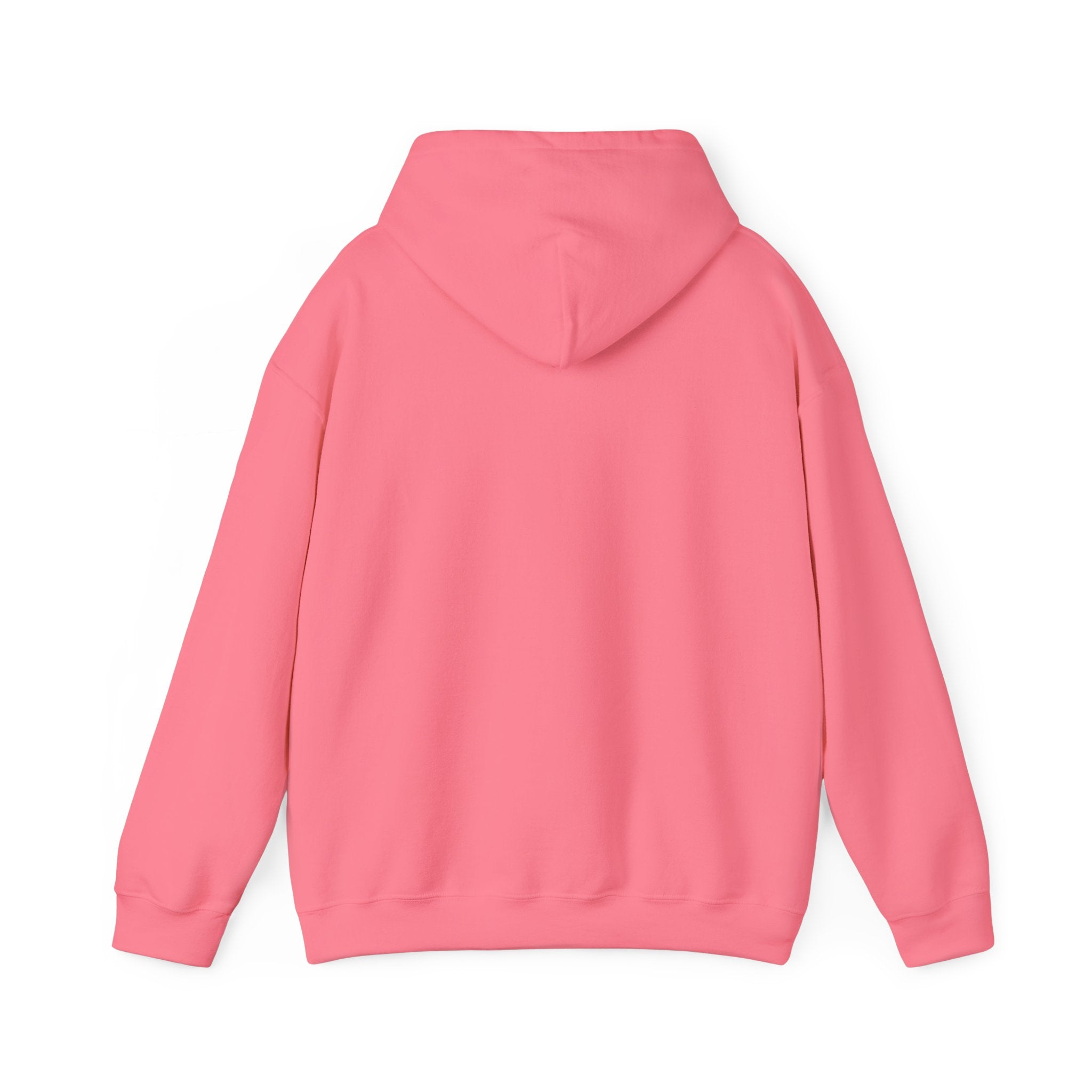 Rainbow Pastel Skydiving Furry | Hooded Sweatshirt